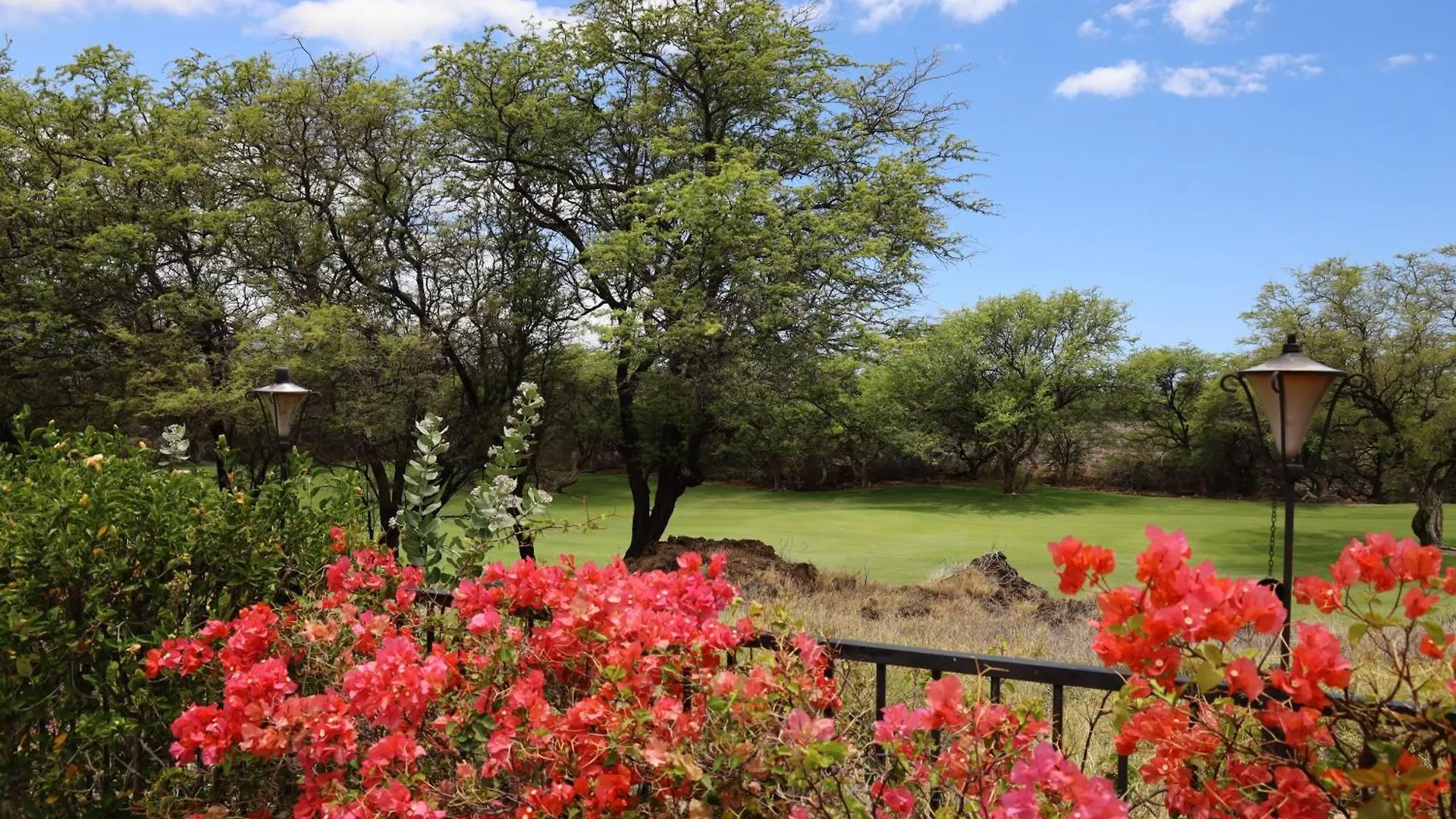 Seabreeze Family Friendly Mauna Lani 4Br Home With Private Pool Waikoloa Holiday home